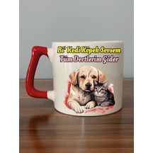 Bi' Kedi Köpek Sevsem Tüm Dertlerim Gider Yazılı Kırmızı Kulplu Kupa Bardak Beyaz