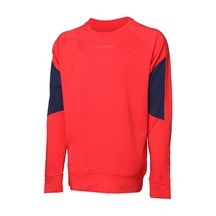 Hummel Anemone Erkek Sweatshırt