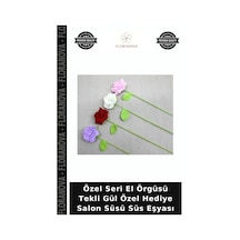 Çok Renkli