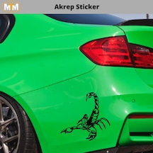 Akrep Sticker 15 Cm
