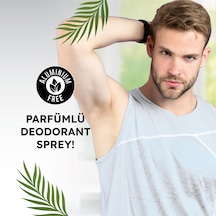 Deodorant Sprey & Erkek Night Gece 24h Etkili 150ml
