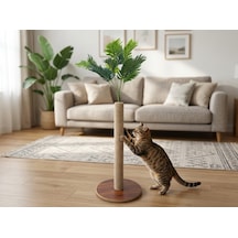 Olive - M Doğal Ahşap Kedi Tırmalama Ağacı