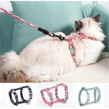 Zensaas41 Kedi Gezdirme Göğüs Tasması Zensaa56