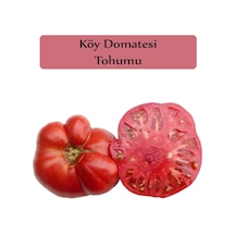 Köy Domatesi Tohumu 1 Paket 3gr 850+ Adet Domates Tohumu