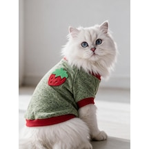 Çilek Tadında Kedi Sweatshirt Yeşil Kırmızı Sıcak Tutan Yumuşak Kedi Kıyafeti