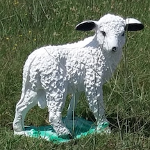 M3 Beyaz Koyun Yavrusu Süt Kuzu Iç Dış Mekan 50Cm Bahçe Oda Heykeli Beyaz