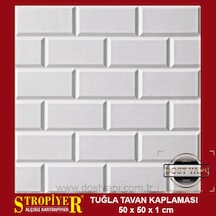 Stropiyer Tavan Duvar Kaplaması Tuğla Modeli , 40 Adet = 10 M2