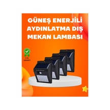 Mercan-çok Renkli