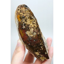 Eye-banded Black Sea Agate - Derin Tuğla Kırmızısı, Hardal Sarısı Ve Koyu Kahverengi Orbiküler