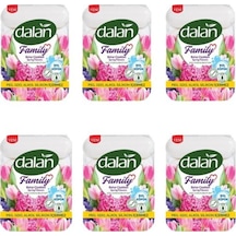 Dalan Family Sabun Bahar Çiçekleri 4 x75 Gr x 6 Paket