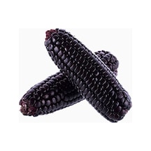 Süper Paket 20 Nadir Ithal Siyah Mısır Tohumu