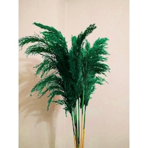 8'li Büyük Demet Pampas Zümrüt Yeşil 100cm Boyunda Çok Renkli