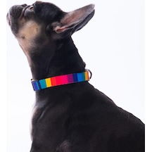 Rainbow Gökkuşağı Desenli Renkli Köpek Boyun Tasması Ayarlanabilir Köpek Tasması S Çok Renkli