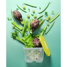 Tupperware Sera 18 Saklama Kabı - Kare Çok Renkli