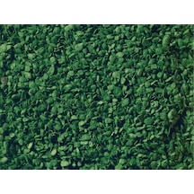 Noch 7144 Yapraklar, Yeşil, 50 Gram Diorama Malzemesi