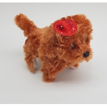 Pilli Sesli Yerde Yürüyen Sevimli Köpek Kahverengi
