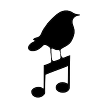 Nota Ve Kuş Duvar Dekor Kaliteli Kaliteli Sticker 40 X 68 Cm