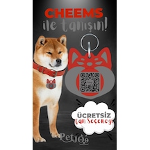 Petjoo 18.Cheems Gri-Kırmızı Qr'lı Köpek Künyesi