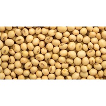 Dökme Bakliyat Soya Fasulyesi 1 KG