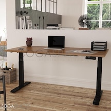Regula Desk 3p - Elektrikli Yükseklik Ayarlı Çalışma Masası, Çift Motorlu, Bluetooth Kontrollü, 60-125 Cm Ayar A Diğer