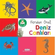 Minik Kitaplarım Deniz Canlıları / Feridun Oral