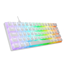 Everest Brıar Siyah Q Red Switch Rgb Type-c Mekanik Gaming Oyuncu Klavyesi Beyaz