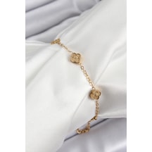 316l Çelik Yonca Model Gold Renk Kadın Bileklik - Tj-bb7363 Çok Renkli