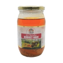 Tüdab Zeytinyağlı Kudret Narı 300 G