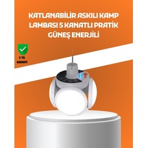 Çok Renkli