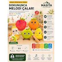 Çok Renkli