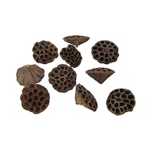 Kurutulmuş Lotus Natürel 20 Li-10403