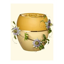 Oriflame Tender Care Çarkıfelek Meyvesi Çekirdeği Özlü Koruyucu Balm 36153