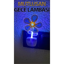 Led Li Kendinden Fişli Gece Lambası 1 Watt Turuncu