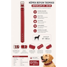 Pedli Köpek Boyun Tasması 57-69 Cm 4 Cm Geniş Kalın Beyaz Dikişli Metal Tokalı - Bordo Çok Renkli
