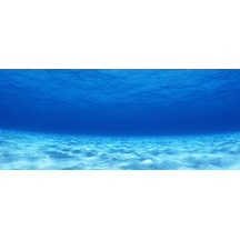 Kanki Pet 155 cm KP1556503 Akvaryum Arka Fon Yapıştırma 155x65 cm