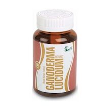 Reishi Mantarı Eki-Ganoderma Lucıdum 90 Kapsül