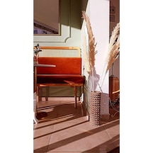 Dilay Home Design Dekoratif Metal Tel Hasır Örgülü Tasarım El Yapımı Çiçek Pampas Vazosu 40 cm
