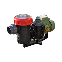 Nozbart Şirin Serisi 1 Hp Monofaze Kendinden Emişli Havuz Pompası