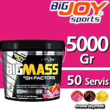Bigjoy Big Mass +Gh Factor 5000 Gr Karbonhidrat Tozu Gainer (458474565)