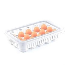 Sattisatiyorturkiye 15li Yumurta Saklama Kabı