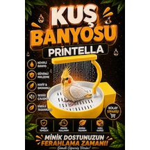 Dekoratif & Eğlenceli Kuş Havuzu