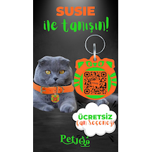 Petjoo 3.Susie Yeşil-Turuncu Qr'lı Kedi Künyesi