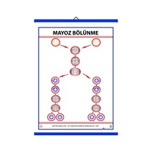 Mayoz Levhası 70X100 Cm