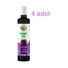 Karadut Özü 700 Gr 4 Adet Net 2800 Gr Diğer