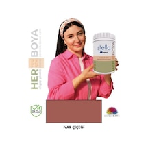 Stella Serisi Yeni Nesil Yüzey Dönüşüm Boyası - Nar Çiçeği Diğer