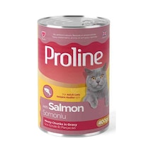 Somon Etli Sos İçinde Gravy Yetişkin Kedi Konservesi 400 Gr
