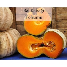 Bal Kabağı Tohumu 1 Paket Kabak Tohumu Kapalı Paket Tohum Bal Kabağı Tatlı Kabağı