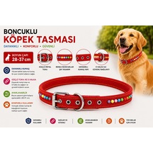 Boncuklu Köpek Boyun Tasması 28-37 Cm Ayarlanabilir Metal Tokalı D Halkalı - Kırmızı Çok Renkli