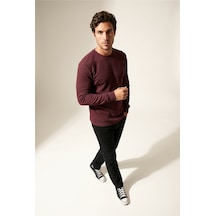 Jsco Erkek Mor 6210 0 Yaka Basic Waffle Sweatshirt