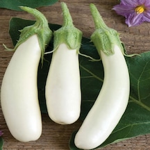 Casper Long Patlıcan Tohumu 15 Tohum